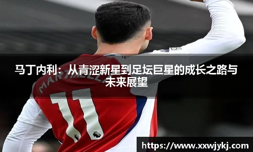 马丁内利：从青涩新星到足坛巨星的成长之路与未来展望